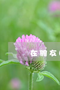 在朋友圈晒离婚协议书 在朋友圈晒离婚协议书