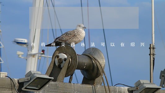 在杭州交通违法可以在绍兴 在杭州交通违法可以在绍兴