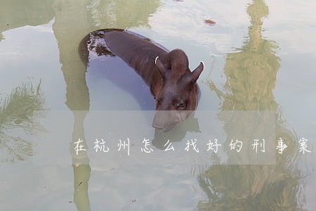 在杭州怎么找好的刑事案件律师