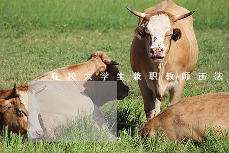 在校大学生兼职教师违法 在校大学生兼职教师违法
