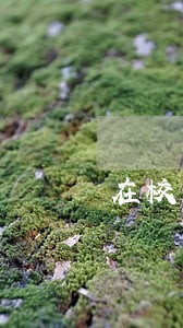 在校大学生网贷逾期 在校大学生网贷逾期