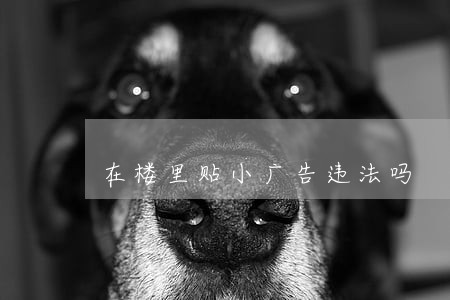 在楼里贴小广告违法吗 在楼里贴小广告违法吗