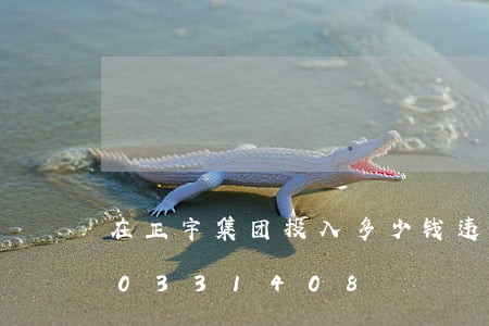 在正宇集团投入多少钱违法/2023020331408 在正宇集团投入多少钱违法/2023020331408