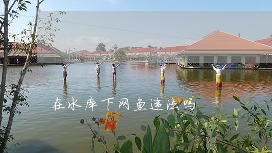 在水库下网鱼违法吗 在水库下网鱼违法吗