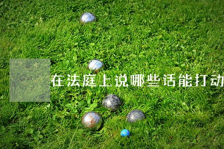在法庭上说哪些话能打动法官的心 在法庭上说哪些话能打动法官的心