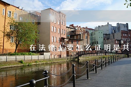 在法律上要怎么证明是共同拥有
