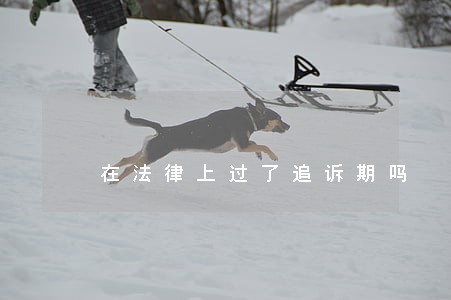 在法律上过了追诉期吗 在法律上过了追诉期吗