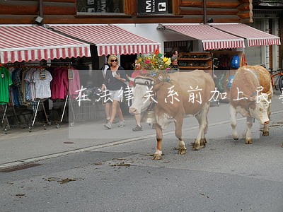 在法律关系前加上民事二字 在法律关系前加上民事二字