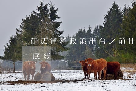 在法律和政策出台之前什么可以帮我们守住底线 在法律和政策出台之前什么可以帮我们守住底线