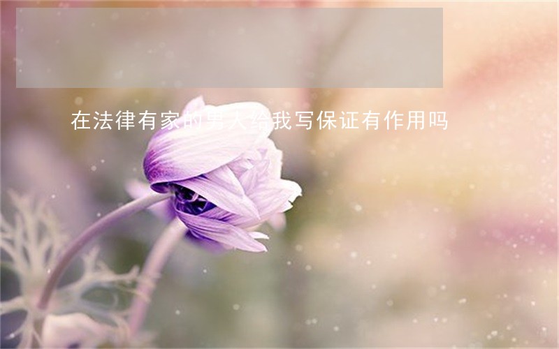 在法律有家的男人给我写保证有作用吗 在法律有家的男人给我写保证有作用吗