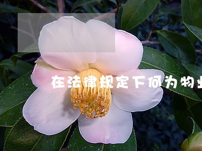 在法律规定下何为物业管理 在法律规定下何为物业管理