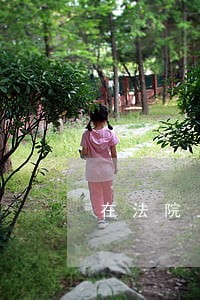 在法院上班准备自考法学