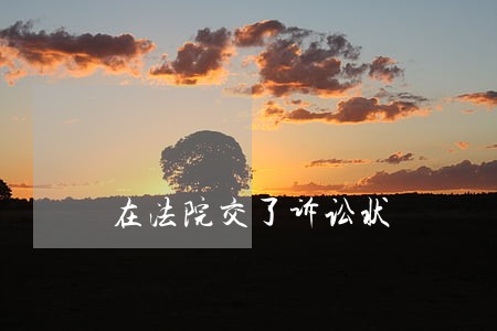 在法院交了诉讼状 在法院交了诉讼状