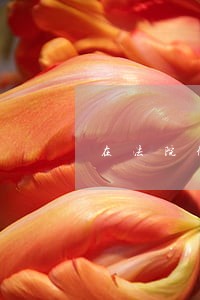 在法院做伪证如何揭穿 在法院做伪证如何揭穿