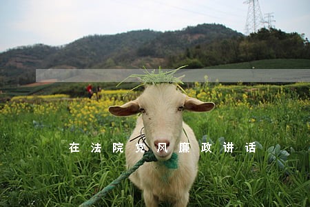 在法院党风廉政讲话 在法院党风廉政讲话