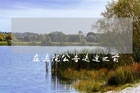 在法院公告送达之前 在法院公告送达之前