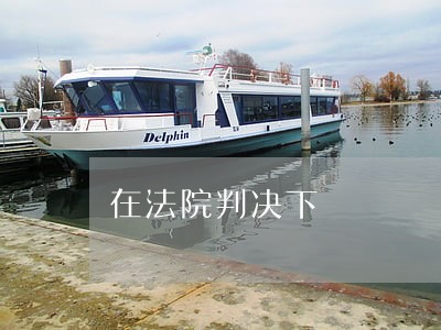 在法院判决下 在法院判决下