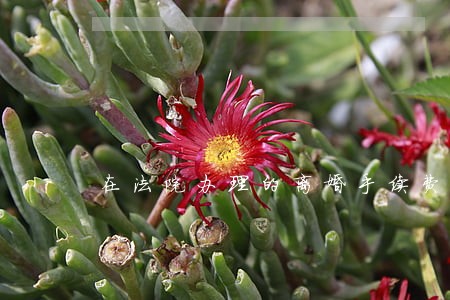 在法院办理的离婚手续费
