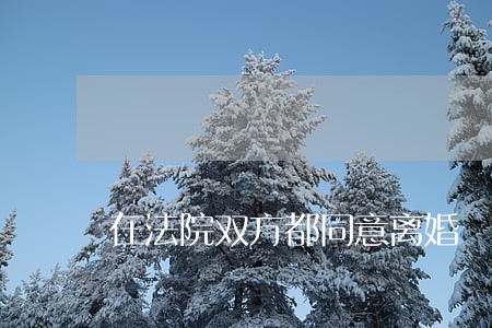 在法院双方都同意离婚 在法院双方都同意离婚