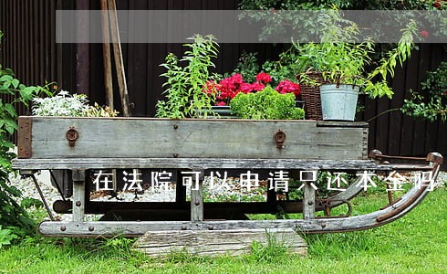 在法院可以申请只还本金吗 在法院可以申请只还本金吗