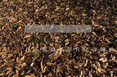 在法院好还是在法律援助中心好 在法院好还是在法律援助中心好