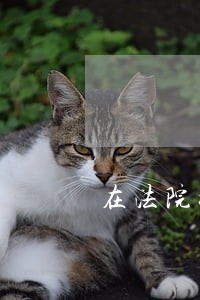 在法院好还是干律师好