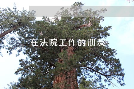 在法院工作的朋友