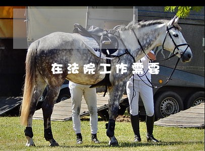 在法院工作需要 在法院工作需要