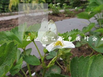 在法院已经申请对企业强制执行 在法院已经申请对企业强制执行