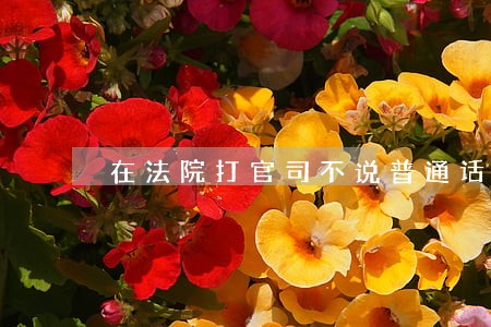 在法院打官司不说普通话好吗 在法院打官司不说普通话好吗