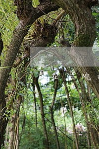 在法院执行局工作一个月多少钱