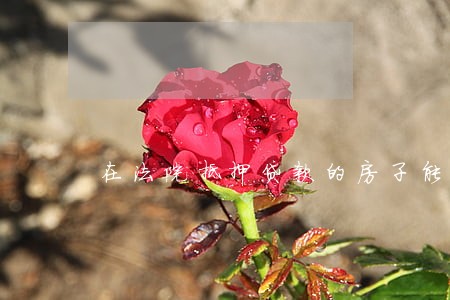 在法院抵押贷款的房子能卖吗 在法院抵押贷款的房子能卖吗