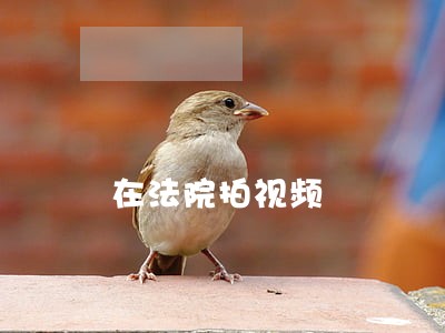 在法院拍视频