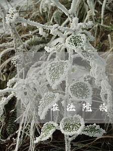在法院换律师吗 在法院换律师吗