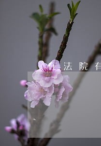 在法院有案子没解决能坐火车吗 在法院有案子没解决能坐火车吗