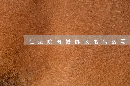 在法院离婚协议书怎么写