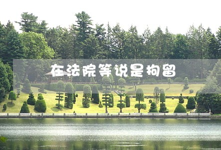 在法院等说是拘留 在法院等说是拘留