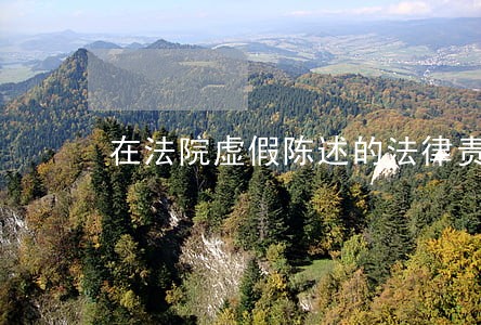 在法院虚假陈述的法律责任