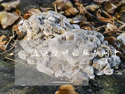 在法院诉讼服务网中 在法院诉讼服务网中