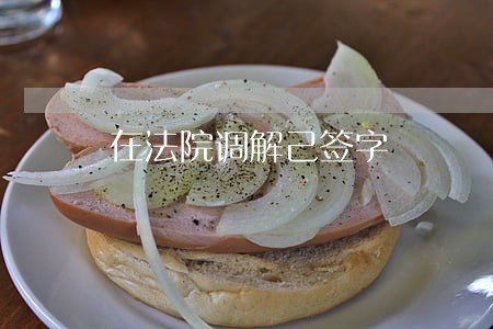 在法院调解己签字 在法院调解己签字