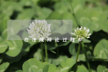 在法院辩论过程中 在法院辩论过程中