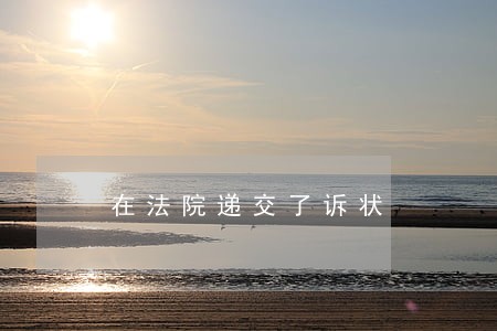在法院递交了诉状 在法院递交了诉状