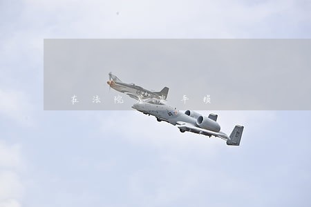 在法院鉴定车损 在法院鉴定车损