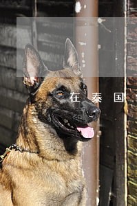 在泰国做人流是违法的吗 在泰国做人流是违法的吗