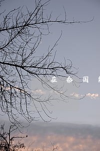 在泰国能做什么违法的事 在泰国能做什么违法的事