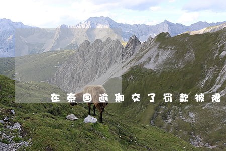 在泰国逾期交了罚款被限制1年 在泰国逾期交了罚款被限制1年