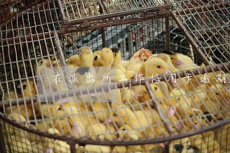 在派出所工作信用卡逾期会被辞 在派出所工作信用卡逾期会被辞
