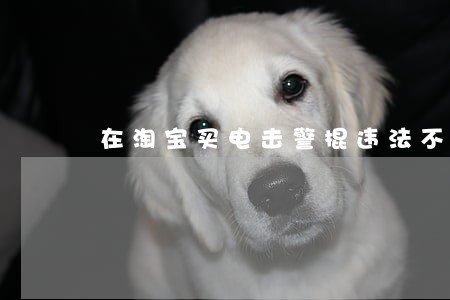 在淘宝买电击警棍违法不 在淘宝买电击警棍违法不