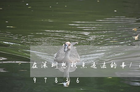 在深圳想找点违法的事/2023012997836 在深圳想找点违法的事/2023012997836