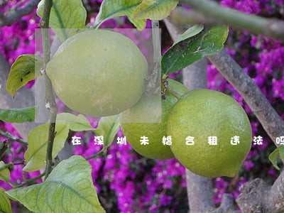在深圳未婚合租违法吗 在深圳未婚合租违法吗